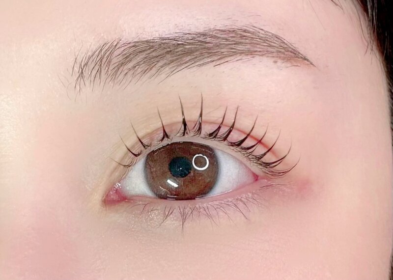 Gioia 【ジョイア】 | 池袋のアイラッシュ Gioia 【ジョイア】 | 池袋のアイラッシュ