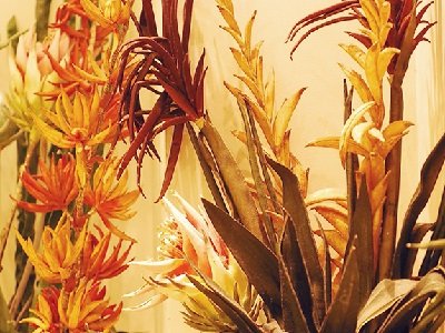 prospere | 目黒のヘアサロン prospere | 目黒のヘアサロン