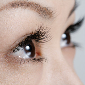 LASH DOLL イオンモール浜松市野店 | 浜松のアイラッシュ LASH DOLL イオンモール浜松市野店 | 浜松のアイラッシュ