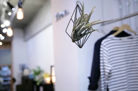 Tree. Hair & Spa | 中目黒のヘアサロン Tree. Hair & Spa | 中目黒のヘアサロン