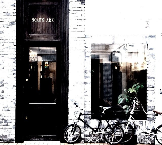 NOAH'S ARK 八王子店 | 八王子のヘアサロン