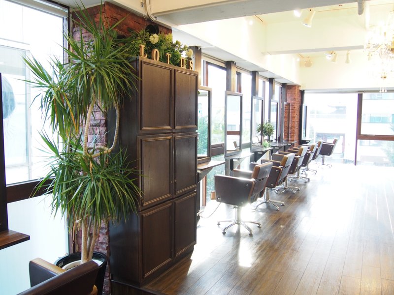Lotus 青山 | 青山のヘアサロン