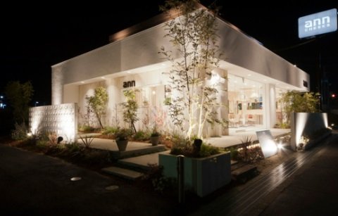 ann Cheeks | 貝塚のヘアサロン