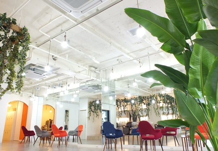 savon hair design casa+ | 仙台のヘアサロン