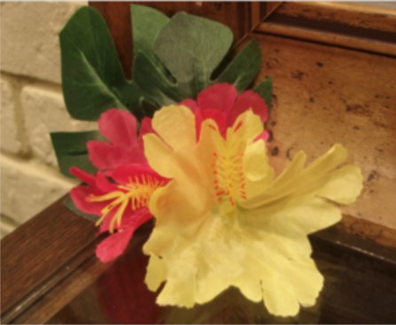 Laughile | 品川のヘアサロン