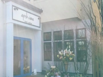 apish ciena | 海老名のヘアサロン