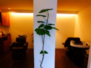 COCOLONY | 富山のヘアサロン