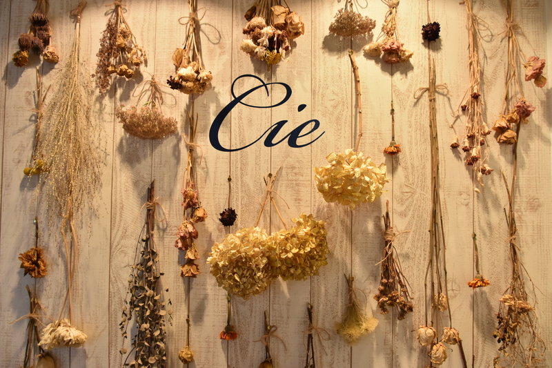 Cie | 大通のリラクゼーション Cie | 大通のリラクゼーション