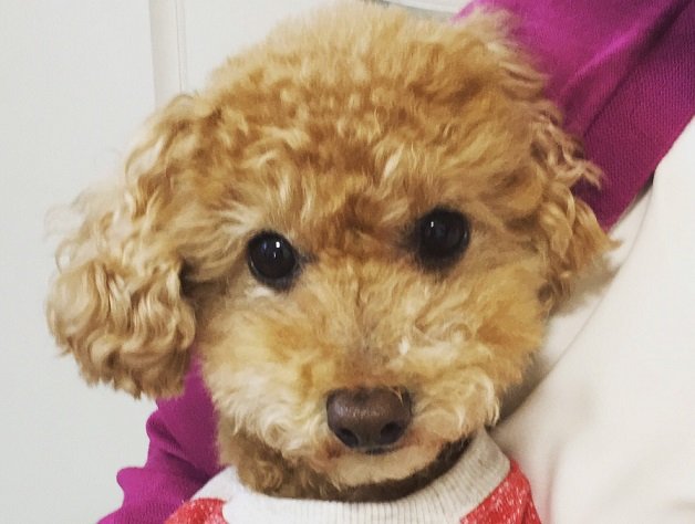 K.Grande | 京橋のエステサロン K.Grande | 京橋のエステサロン