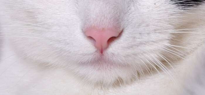 Hair Salon Coa | 自由が丘のヘアサロン Hair Salon Coa | 自由が丘のヘアサロン