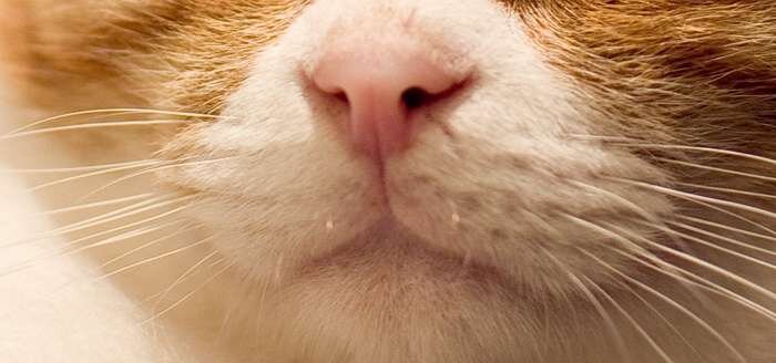 Hair Salon Coa | 自由が丘のヘアサロン Hair Salon Coa | 自由が丘のヘアサロン