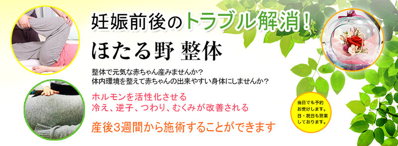 ほたる野 整体 | 木更津のリラクゼーション ほたる野 整体 | 木更津のリラクゼーション