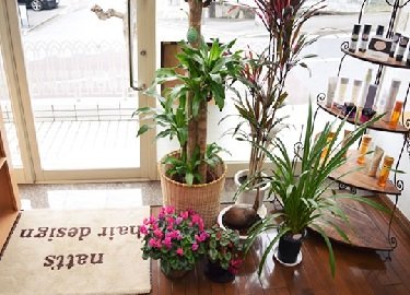 natt's hair design | 佐倉のヘアサロン