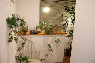 松山美容整体院 | 松山のエステサロン 松山美容整体院 | 松山のエステサロン