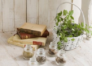 yosaparkAnn 世田谷 | 二子玉川のエステサロン