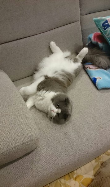 リラクゼーションサロン　く.えるぽ | 福井のリラクゼーション