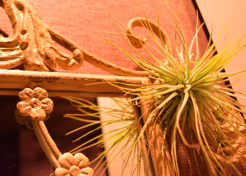 SOU顔ライセンスサロン&筋膜リリースサロン　Salon de Man | 古賀のリラクゼーション