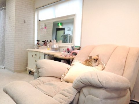 fuwafuwa | 桜木町のネイルサロン