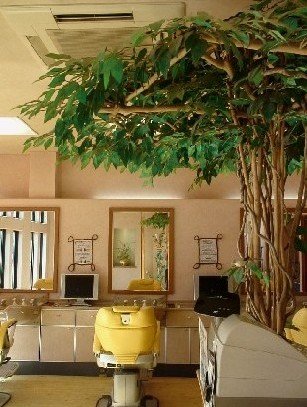 flor -act for hair- | つくばのヘアサロン