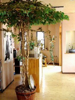 flor -act for hair- | つくばのヘアサロン