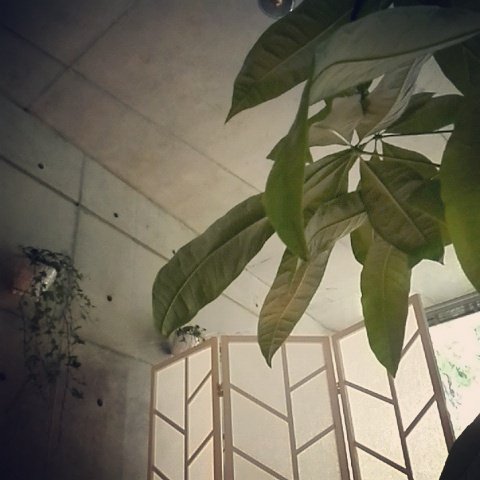 プライベートエステサロンyasaya | 武蔵小杉のエステサロン