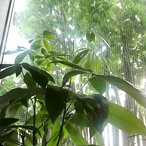 プライベートエステサロンyasaya | 武蔵小杉のエステサロン