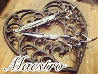 美容室Maestro | 高崎のヘアサロン