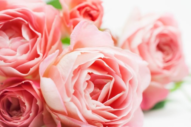 beauty&relaxation PURELY | 二子玉川のエステサロン