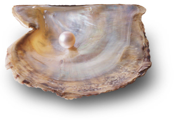 フェイシャルサロン ジョイ | 金沢のエステサロン フェイシャルサロン ジョイ | 金沢のエステサロン