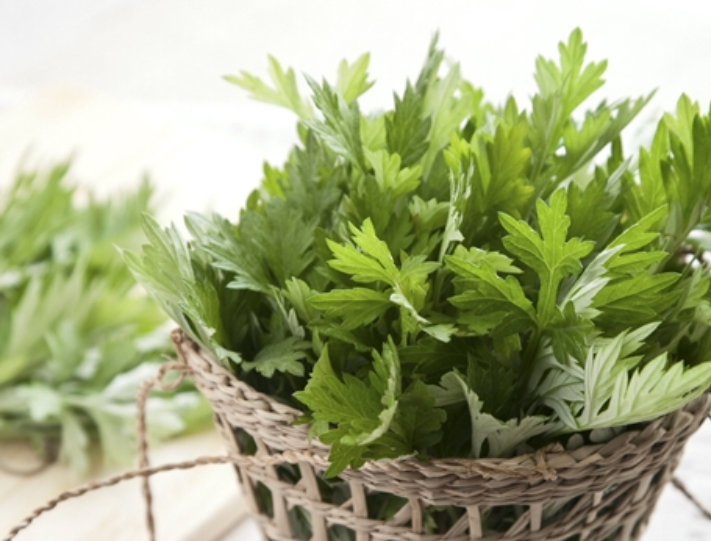 Flora | 浜松のエステサロン