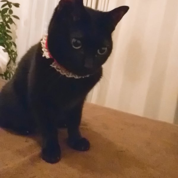 Retreat | 北九州のリラクゼーション