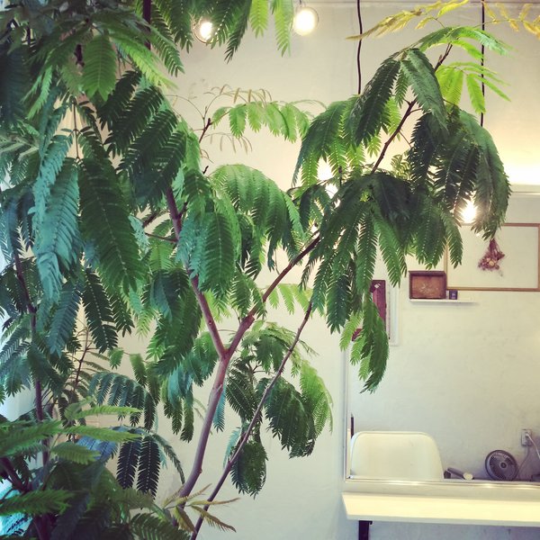 simple hairmake | 北千住のヘアサロン simple hairmake | 北千住のヘアサロン