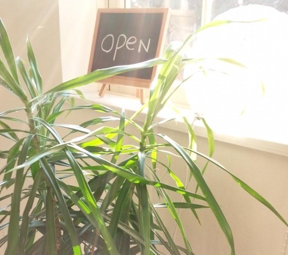 ヘアサロンアンティ | 豊田のヘアサロン ヘアサロンアンティ | 豊田のヘアサロン