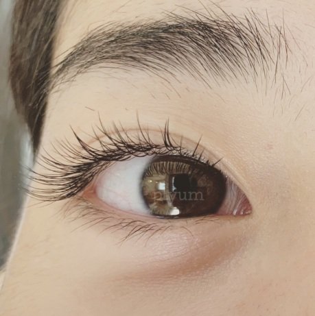 PLYUM | 西新井のアイラッシュ