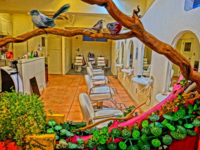 Jelly fish | 守谷のヘアサロン