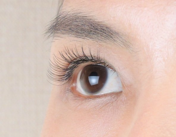 Bellis Lash | 銀座のアイラッシュ