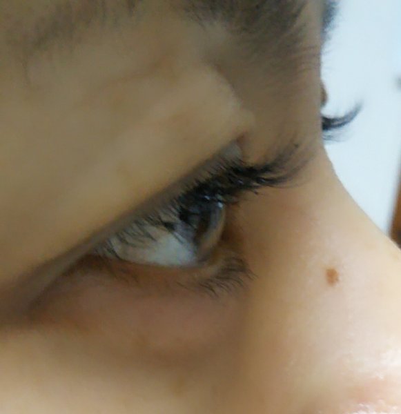 Diana rose | 羽島のエステサロン