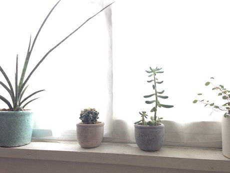 Aroma & Herb Iris | 鎌倉のリラクゼーション Aroma & Herb Iris | 鎌倉のリラクゼーション