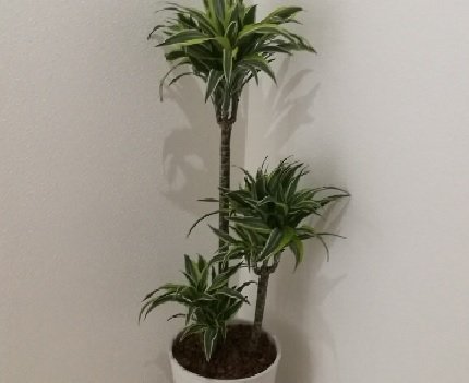 みどりの時間 | 札幌駅周辺のリラクゼーション みどりの時間 | 札幌駅周辺のリラクゼーション