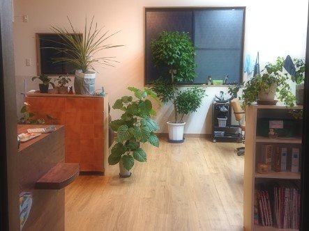 moanikela hair&care salon | 行田のヘアサロン moanikela hair&care salon | 行田のヘアサロン