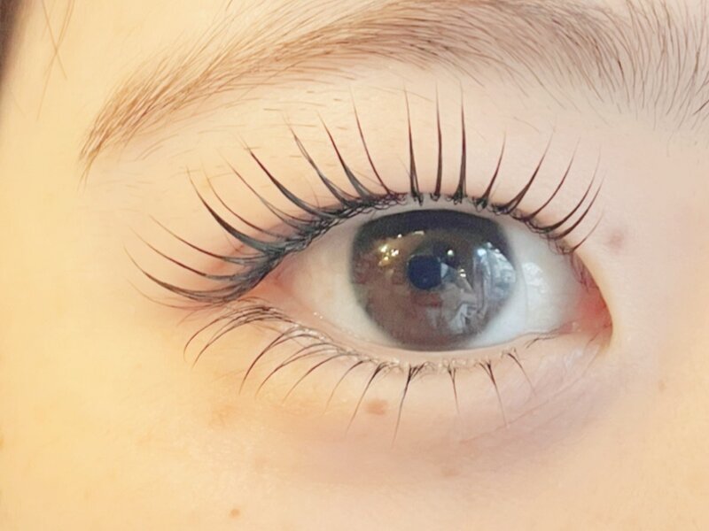 eyelash Koror | 町田のアイラッシュ eyelash Koror | 町田のアイラッシュ