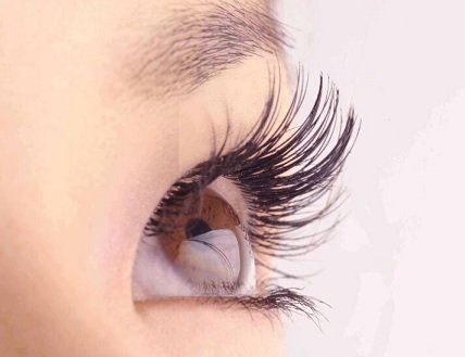 Total Beauty Salon REGINA | 東海のアイラッシュ