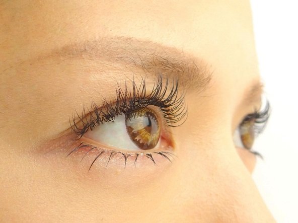 eyelash GIZELE | 恵比寿のアイラッシュ