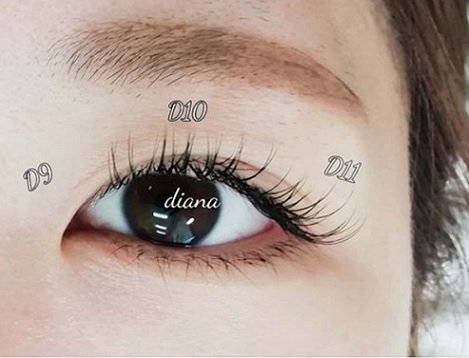 ディアナ　水戸千波店 | 水戸のアイラッシュ