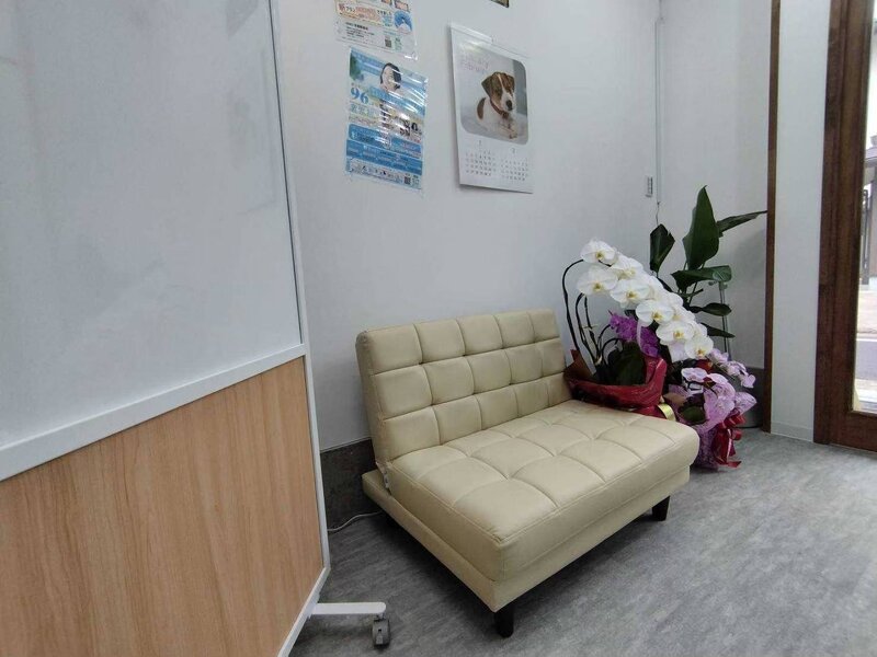 まつ毛パーマ＆眉毛サロン SSIN STUDIO（シーン スタジオ） 京都店 | 京都駅/東山七条のアイラッシュ