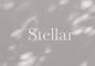 髪質改善美容室Stellar札幌店 | 札幌駅周辺のヘアサロン
