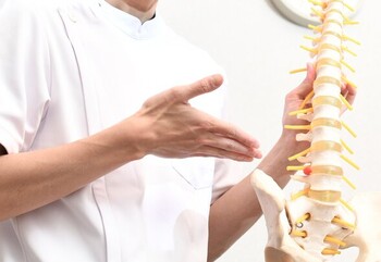 自由が丘の整体院 PROFEA | 自由が丘のリラクゼーション