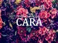 Private salon CARA | 横須賀のアイラッシュ