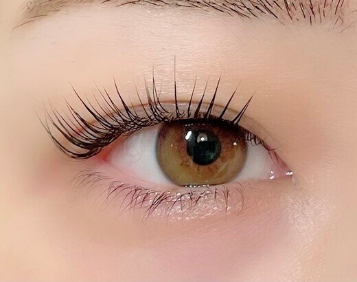 Lien LASHLIFT | 学芸大学のアイラッシュ