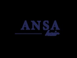 ANSA hair